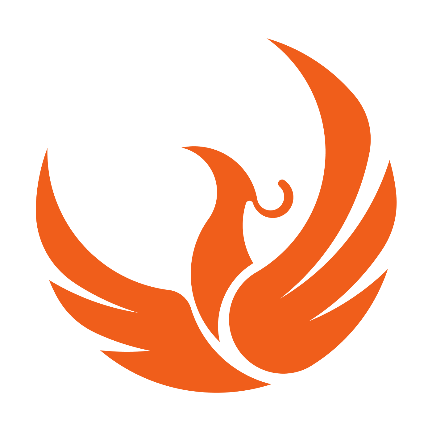 Phoenix Project
